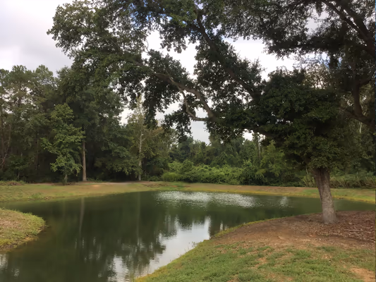 Dog Park at Bees Landing Recreation Area